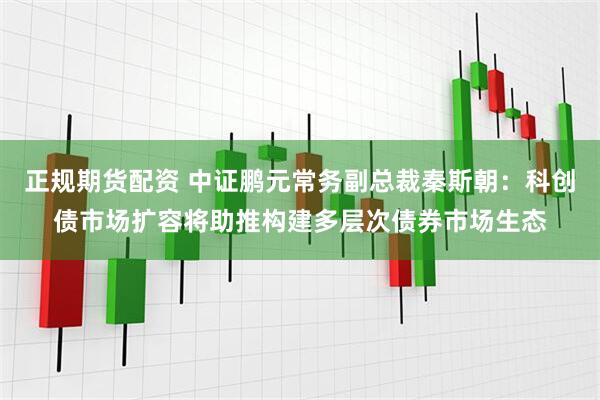 正规期货配资 中证鹏元常务副总裁秦斯朝：科创债市场扩容将助推构建多层次债券市场生态