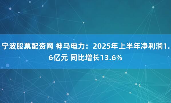 宁波股票配资网 神马电力：2025年上半年净利润1.6亿元 同比增长13.6%