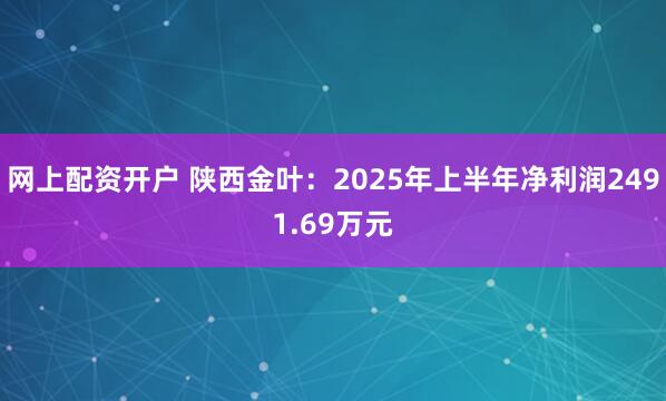 网上配资开户 陕西金叶：2025年上半年净利润2491.69万元