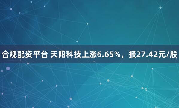 合规配资平台 天阳科技上涨6.65%，报27.42元/股